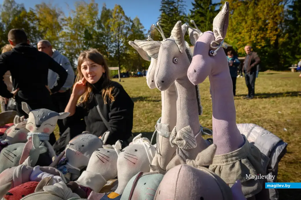 08.10.2022. Глушанский сельский Совет. Региональный фестиваль народного искусства и ремесел «Глушанскі хутарок»