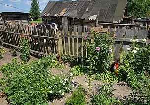 Правительство рассказало, как получить разрешение на оказание услуг в сфере агроэкотуризма