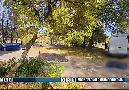 В Могилеве водитель грузовика не заметил во дворе женщину, сбил ее и переехал насмерть