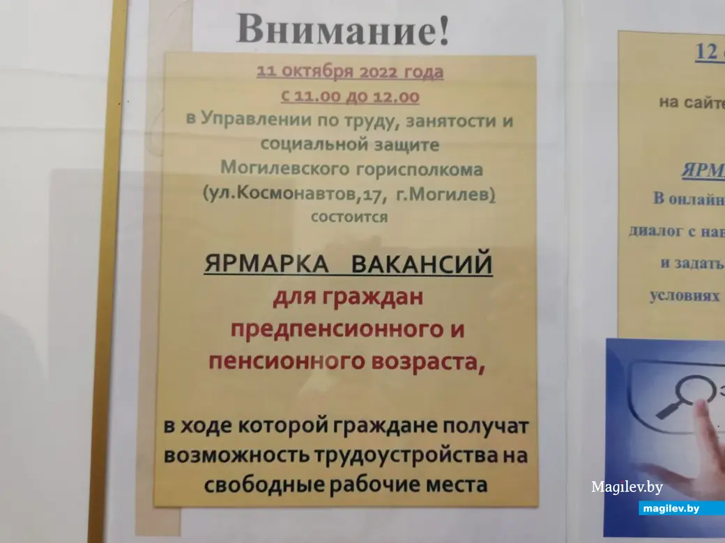 Лето на даче просидели, а теперь хотели бы поработать». Что предлагали  могилевским пенсионерам на ярмарке вакансий? | magilev.by