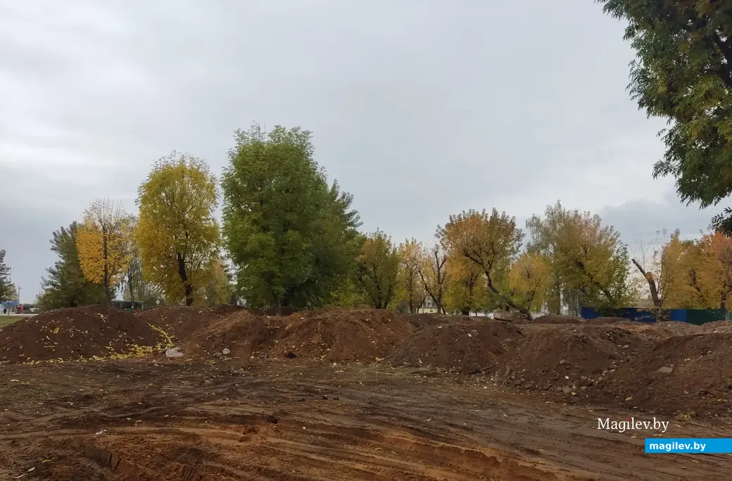 В старом парке на Гребенево строится арендное жилье.