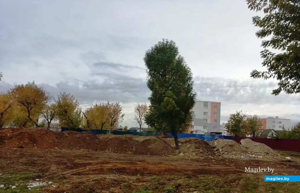 В старом парке на Гребенево строится арендное жилье.