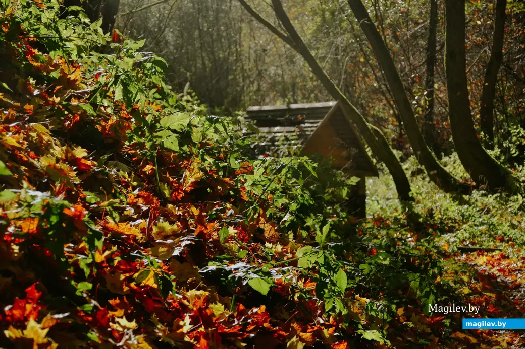 10.10.2022, Мстиславль. Что может быть вкуснее криничной воды?