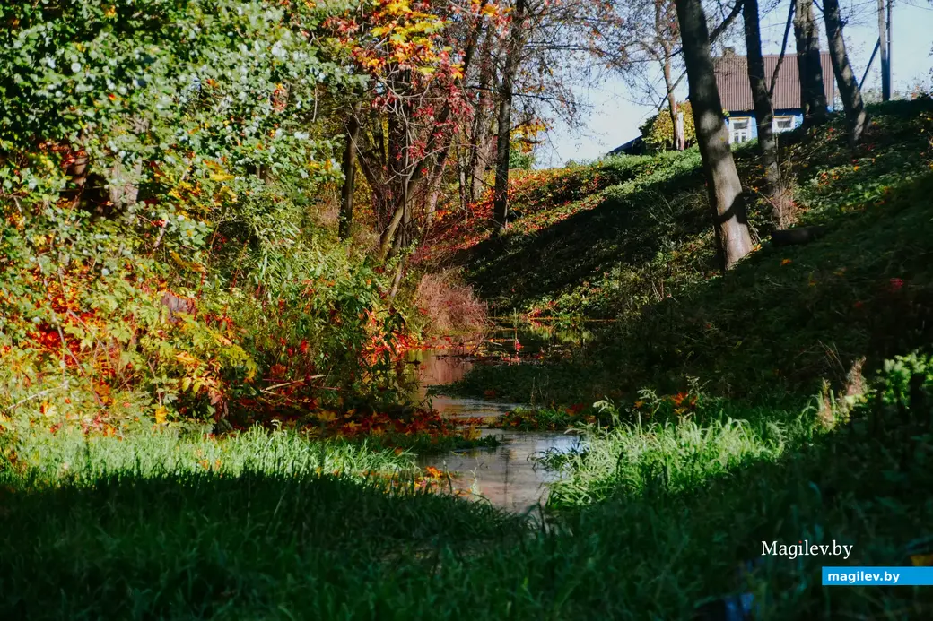 10.10.2022, Мстиславль. Словно осень столкнулась с летом. Ручей у подножья Замковой горы.
