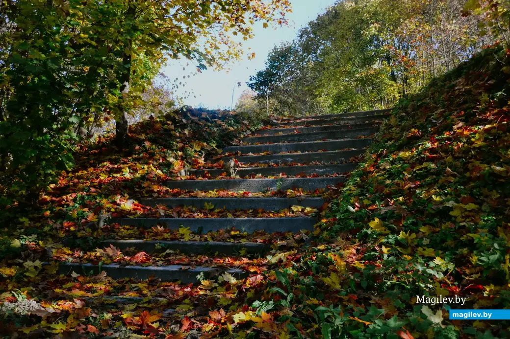 10.10.2022, Мстиславль. Еще одна роскошная локация для фантазийных фотосессий приводит нас к ручью.