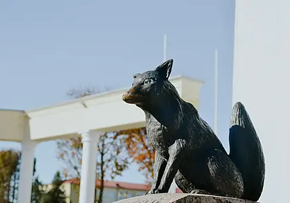 Потерли носик лисе и отведали родниковой воды