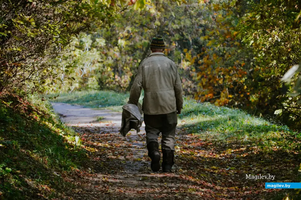 10.10.2022, Мстиславль. Вспоминается сказка про дедушку-лесовичка.