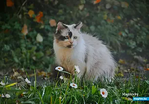 Куда сходить в Могилеве в ближайшие выходные: наш гид