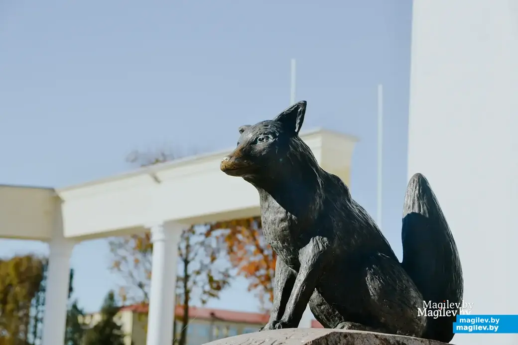 Октябрь 2022 г. Мстиславль. В геральдическом описании герба Мстиславля упоминается «червленый волк». Но сами горожане уверены, что это красная лисица. Фото Антона