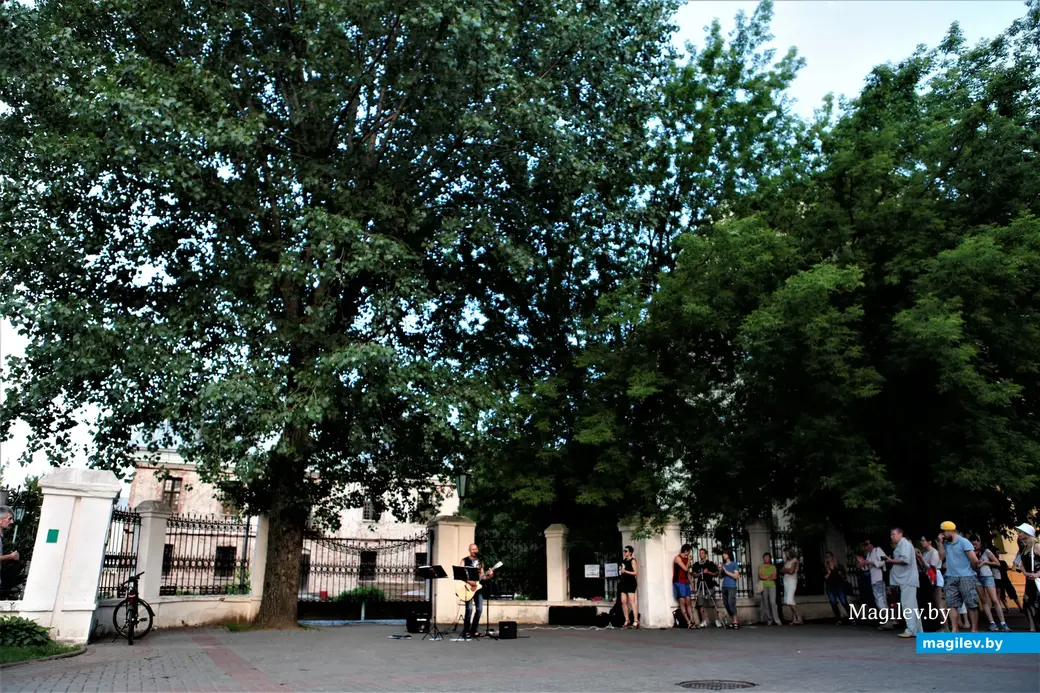 Огромное дерево Алика Бедулина на улице Ленинской, наверое, и в самом деле представляло опасность в непогоду, а потому его спилили. Могилев, 2014 год.