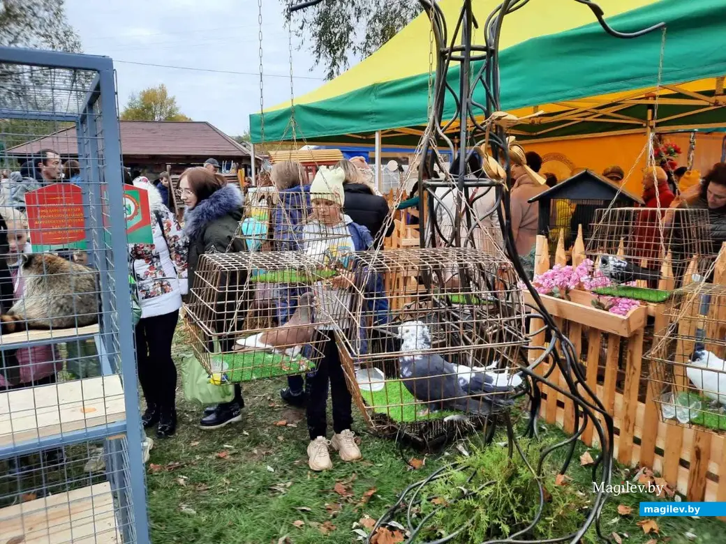 Славгород, 15 октября 2022 года. Областной фестиваль-ярмарка тружеников села «Дажинкі-2022».