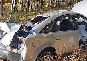 В Осиповичском районе иномарка съехала в кювет и опрокинулась. Водитель погиб