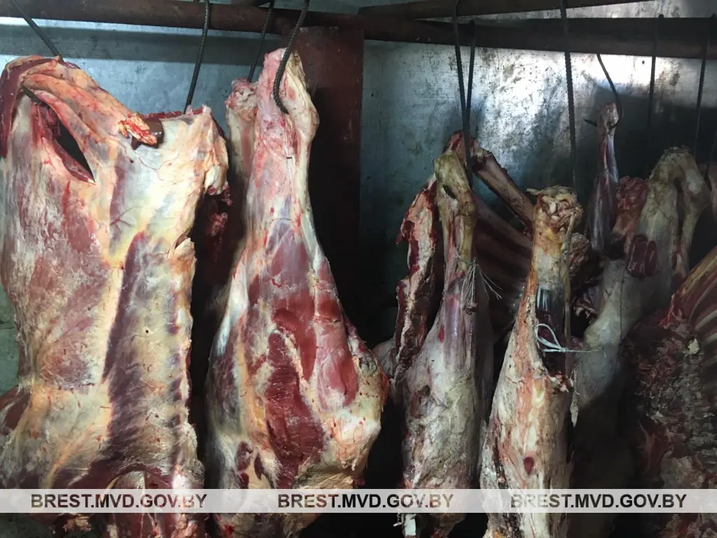 Фермер из Брестской области в антисанитарных условиях хранил 600 кг говядины. Фото: УВД Бреста