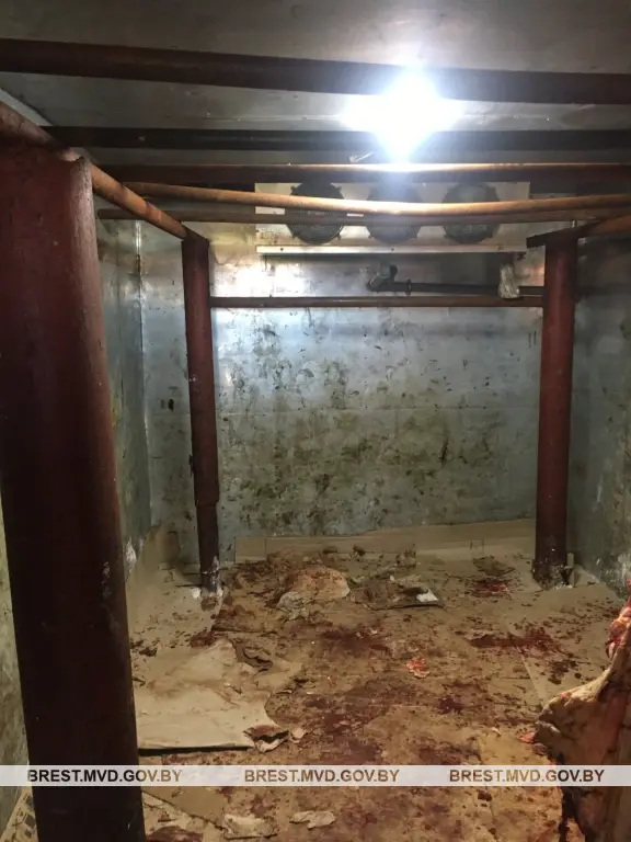 Фермер из Брестской области в антисанитарных условиях хранил 600 кг говядины. Фото: УВД Бреста