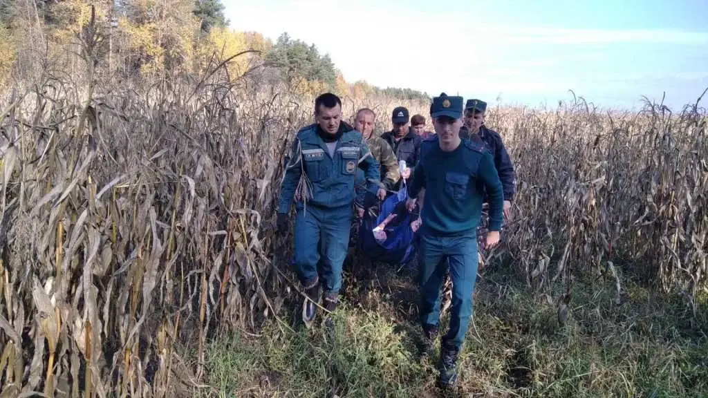 Источник: МЧС