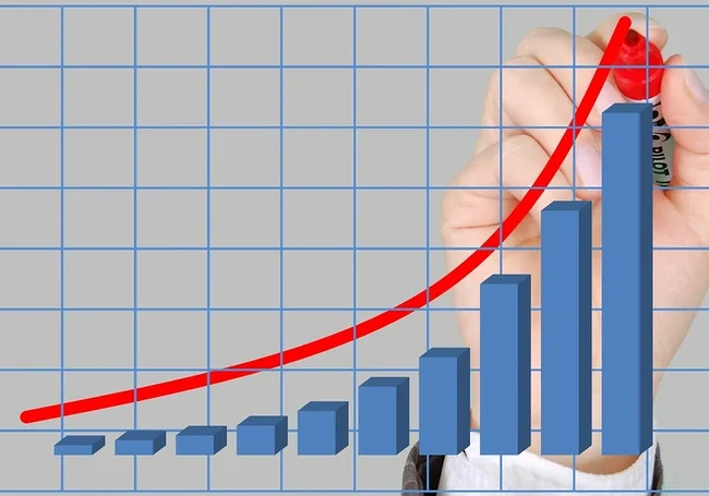 Инвестиции в Беларусь и выросли, и упали