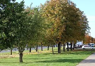 Во вторник максимальная днем +19. Прогноз погоды до конца недели
