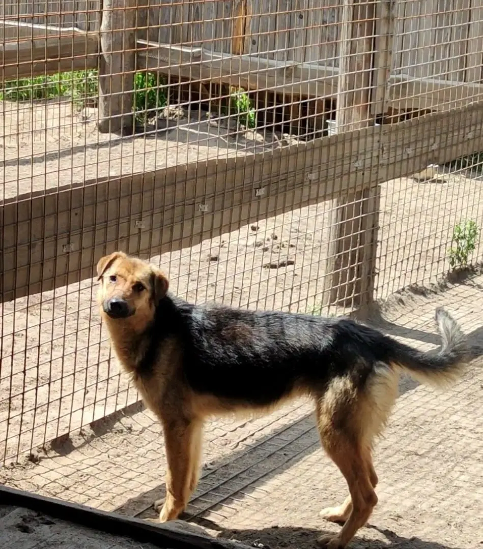 Воспитанник приюта «Добродетель». Фото предоставлено приютом.