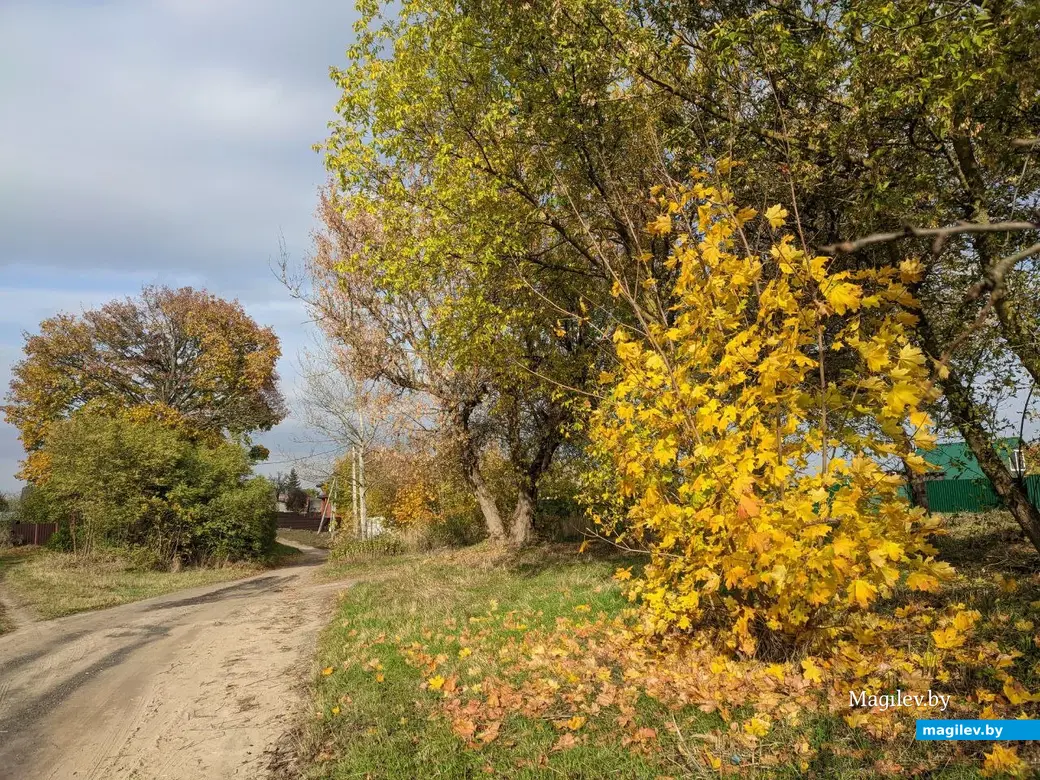 18.09.2022. Прогулка по бывшим приберезинским форштадтам. Фоторепортаж из Бобруйска. Фото: Александр ЧУГУЕВ