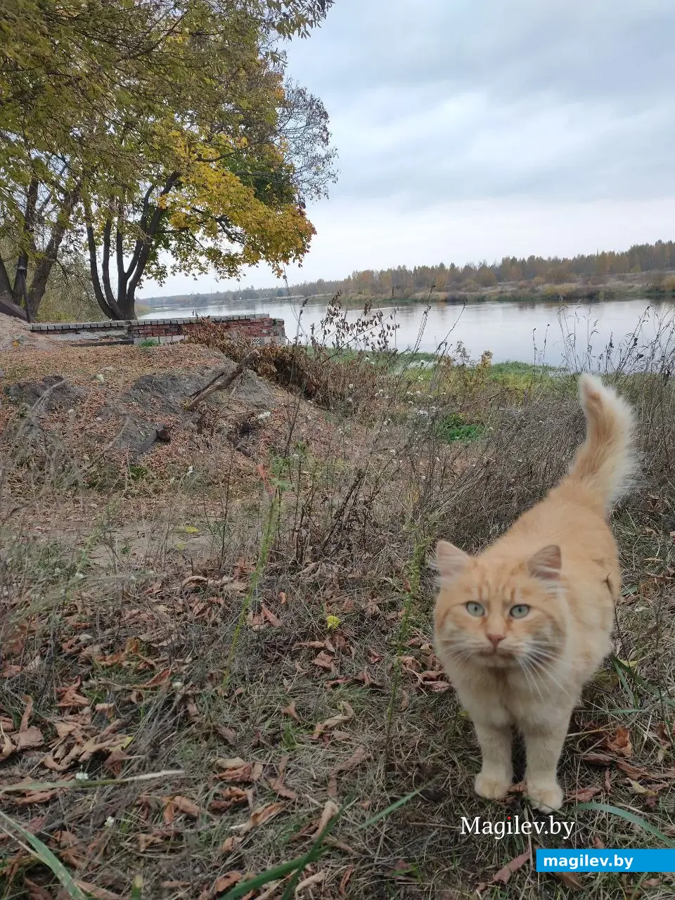 18.09.2022. Прогулка по бывшим приберезинским форштадтам. Фоторепортаж из Бобруйска. Фото: Александр ЧУГУЕВ