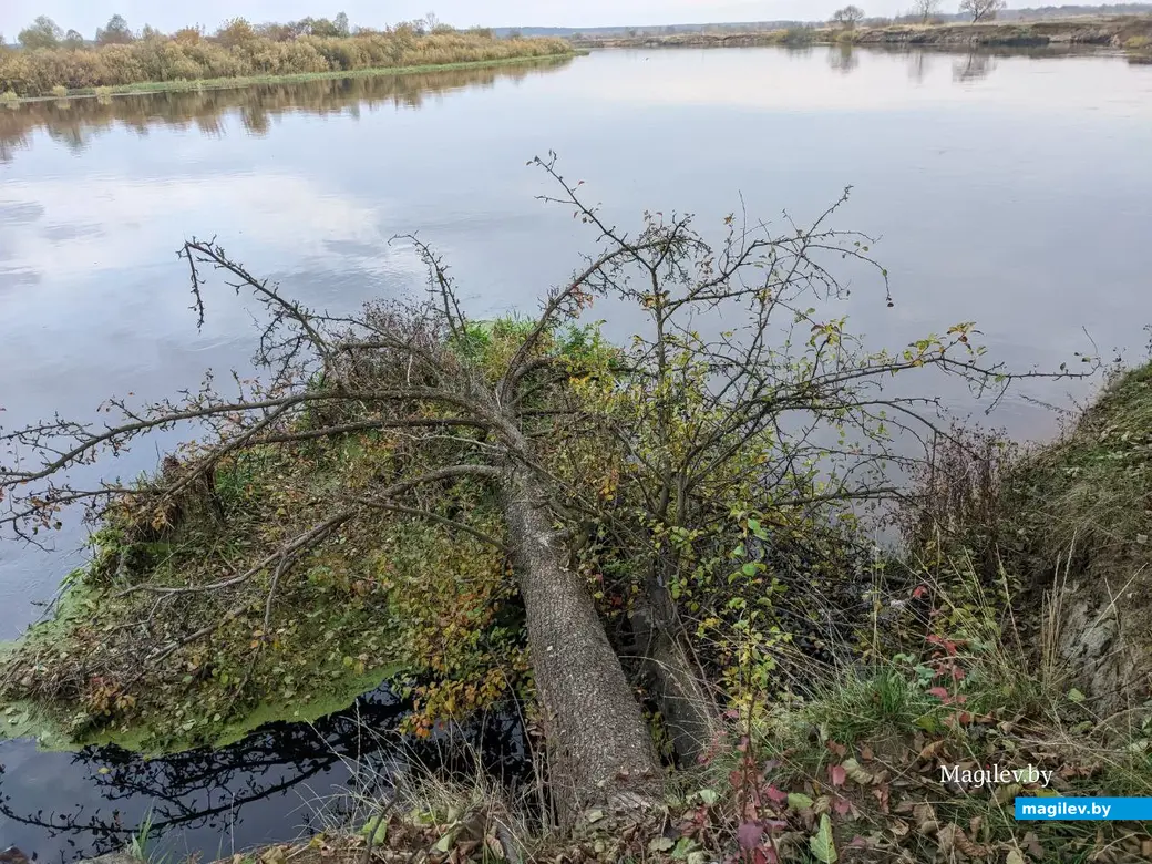 18.09.2022. Прогулка по бывшим приберезинским форштадтам. Фоторепортаж из Бобруйска. Фото: Александр ЧУГУЕВ