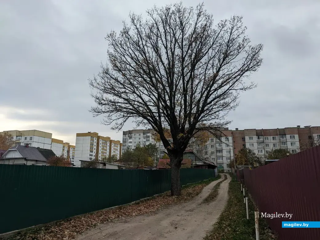 18.09.2022. Прогулка по бывшим приберезинским форштадтам. Фоторепортаж из Бобруйска. Фото: Александр ЧУГУЕВ