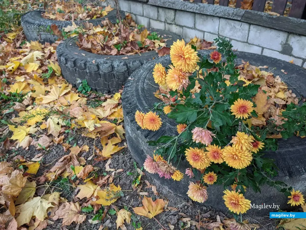 18.09.2022. Прогулка по бывшим приберезинским форштадтам. Фоторепортаж из Бобруйска. Фото: Александр ЧУГУЕВ