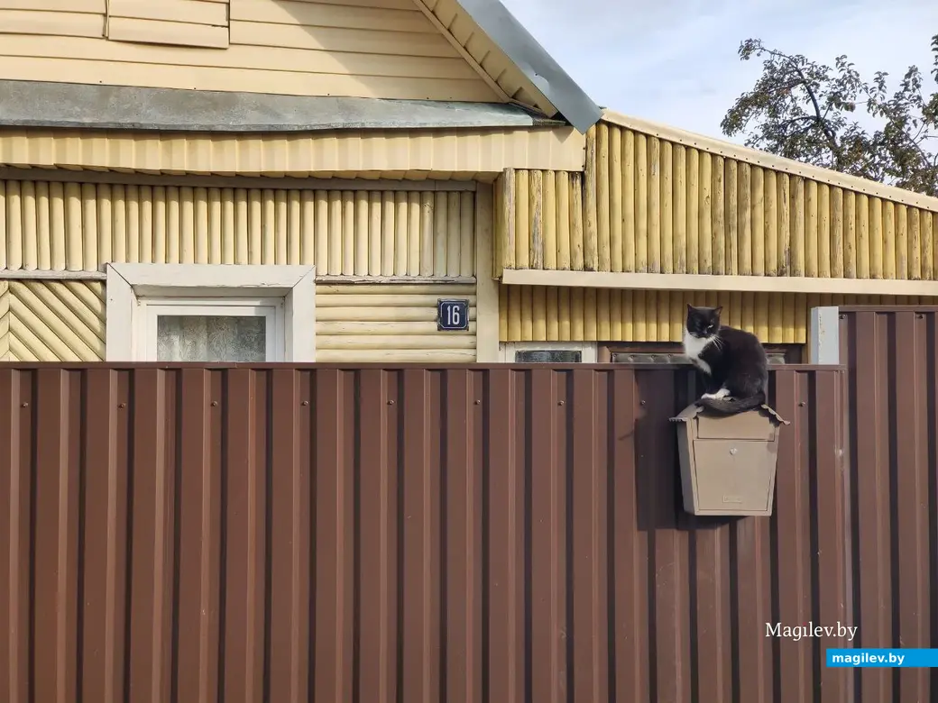 18.09.2022. Прогулка по бывшим приберезинским форштадтам. Фоторепортаж из Бобруйска. Фото: Александр ЧУГУЕВ