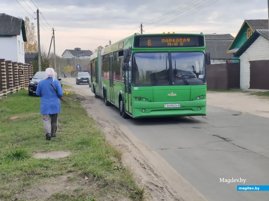 Прогулка по бывшим приберезинским хуторам. Фоторепортаж из Бобруйска |  magilev.by