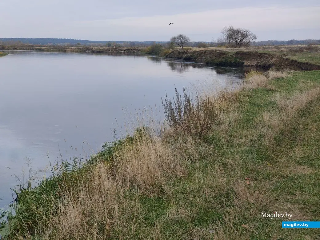 18.09.2022. Прогулка по бывшим приберезинским форштадтам. Фоторепортаж из Бобруйска. Фото: Александр ЧУГУЕВ