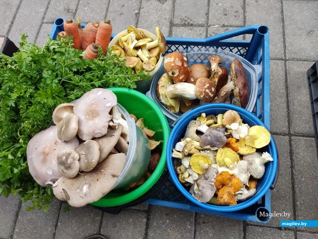 Грибной сезон на могилевских рынках. 19.10.2022 г.