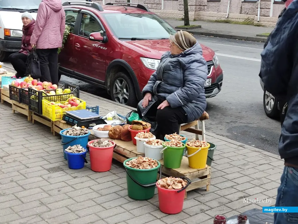 Грибной сезон на могилевских рынках. 19.10.2022 г.