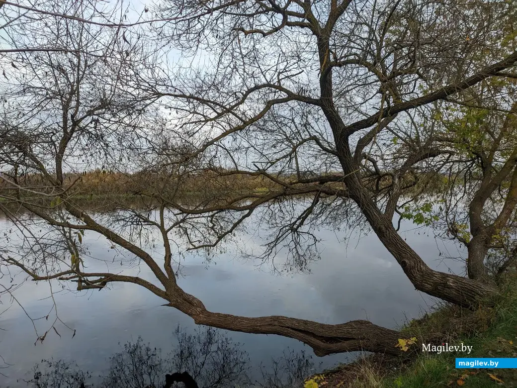 18.09.2022. Прогулка по бывшим приберезинским форштадтам. Фоторепортаж из Бобруйска. Фото: Александр ЧУГУЕВ