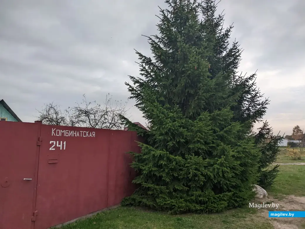 18.09.2022. Прогулка по бывшим приберезинским форштадтам. Фоторепортаж из Бобруйска. Фото: Александр ЧУГУЕВ