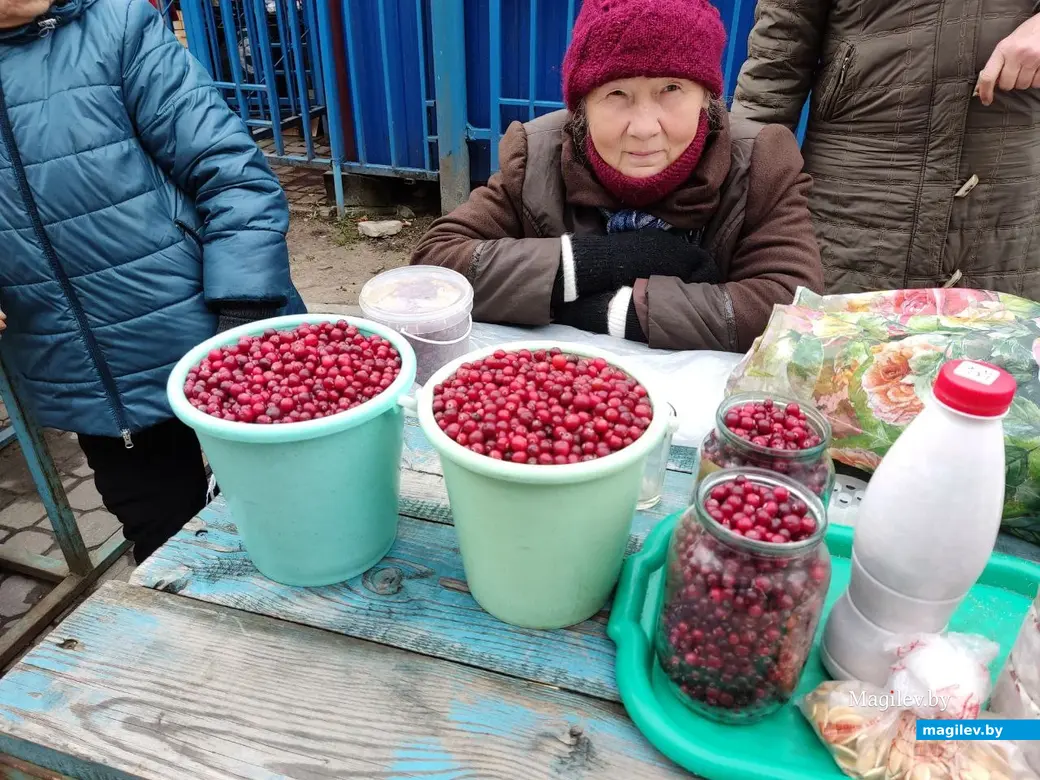 За клюкву просят 6-7 рублей за литр. Центральный рынок, Могилев. 19.10.2022 г