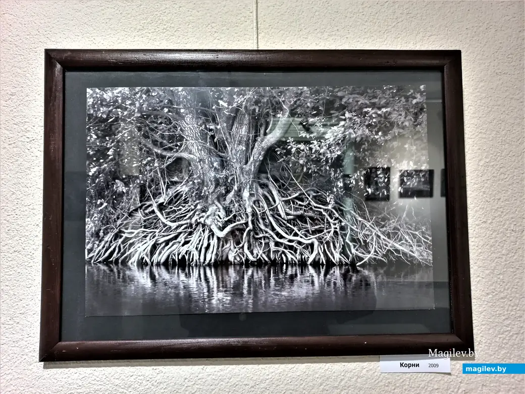 Открытие выставки Анатолия Толкачева «По волнам памяти». Выставочный зал Музея истории Могилева, 19.10.2022 г.