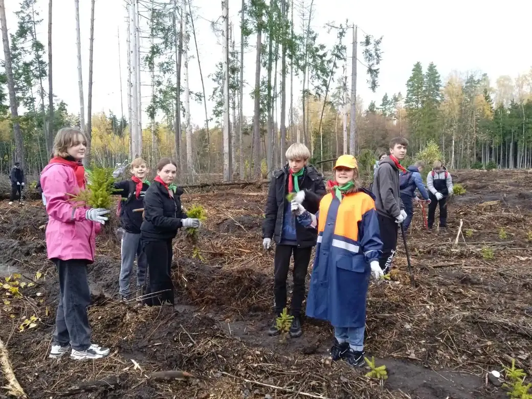 Акция «Адновім лясы разам».