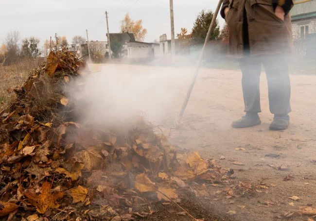 Осень в деревне Брожа. Фотозарисовка из Бобруйского района