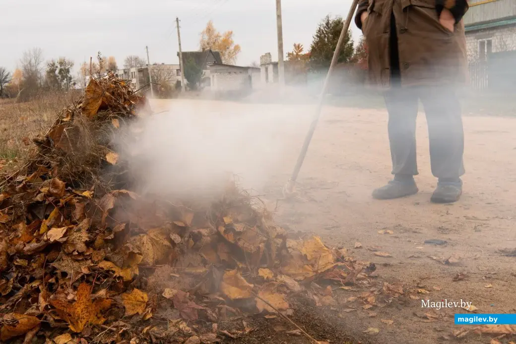 Осень в деревне Брожа.
