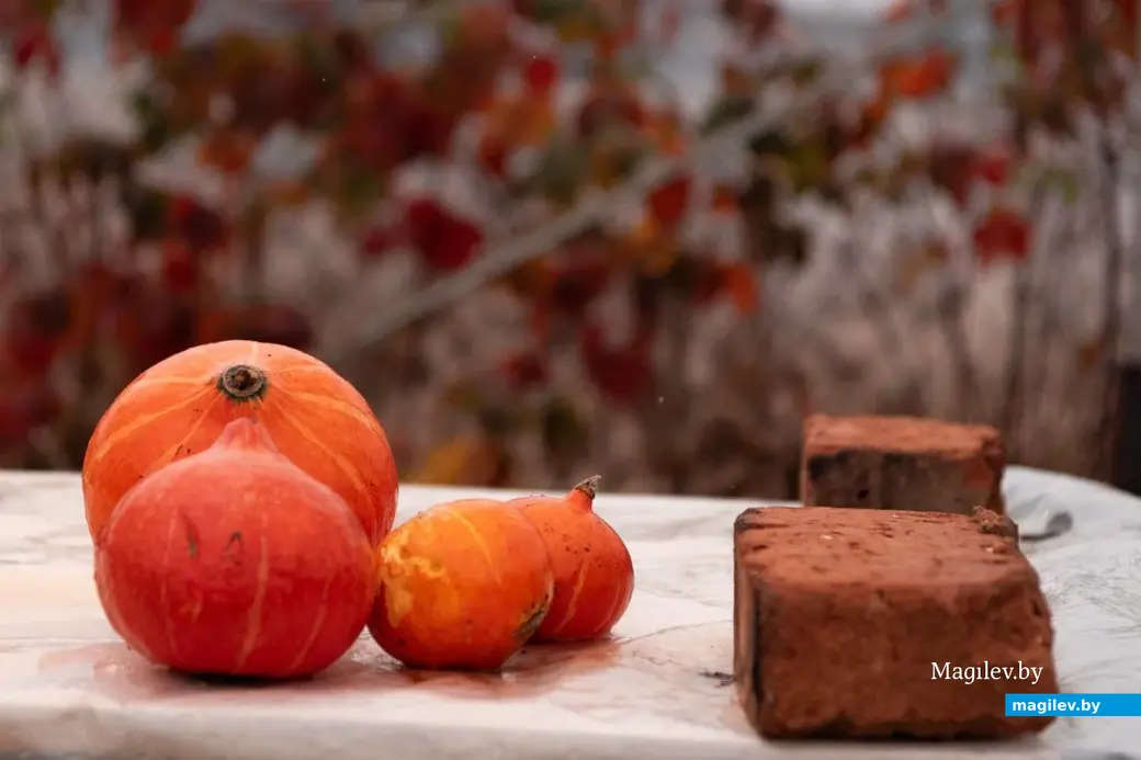 Осень в деревне Брожа.