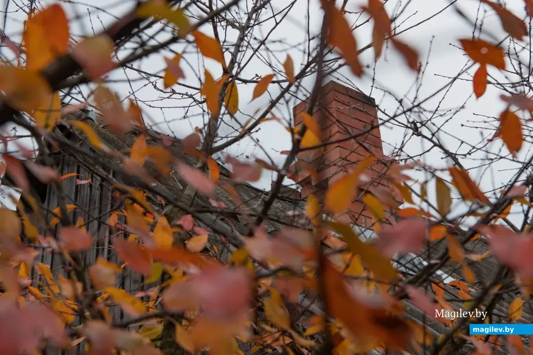 Наша героиня город променяла на деревню. Фото Татьяны Крапивиной, носит иллюстративный характер.