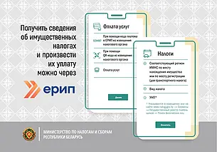 В МНС напомнили об уплате имущественного и транспортного налогов до 15 ноября