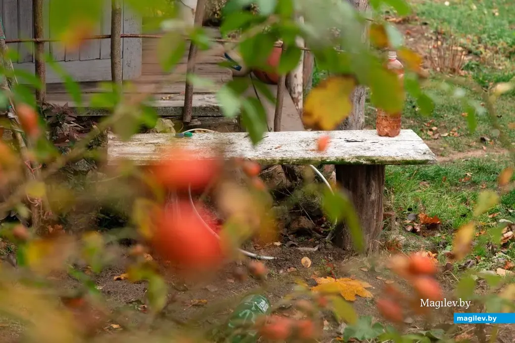 Осень в деревне Брожа.