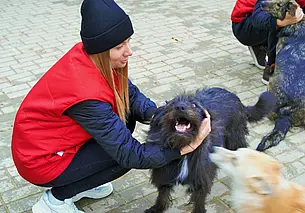 Могилевские волонтеры собрали еду и медикаменты для бездомных животных
