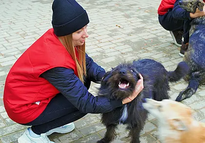 Могилевские волонтеры собрали еду и медикаменты для бездомных животных