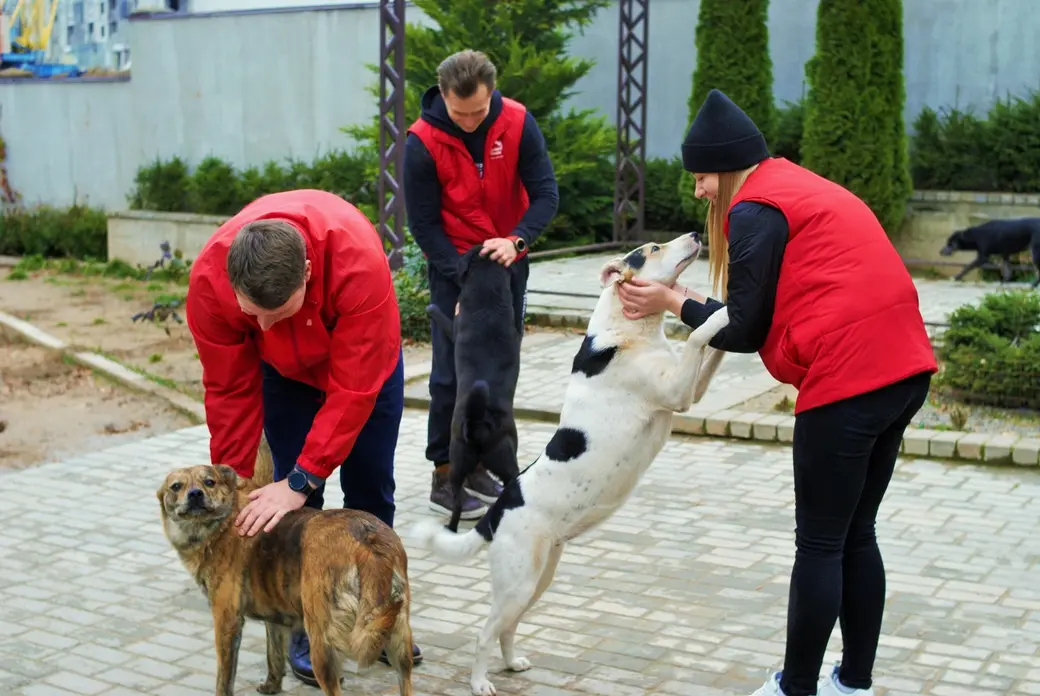 Октябрь 2022 г. Могилев, приют «Верба»