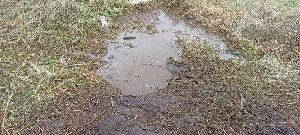 24.10.22 В Могилевском районе сотрудники МЧС вытащили из болота корову. Фото: МЧС