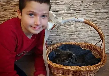 «Мама, прости за куртку, но я не мог поступить иначе  Они бы погибли»