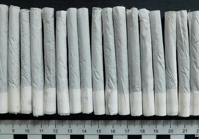 Могилевские эксперты подтвердили: в сигаретах марихуана