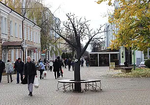 «Эти огромные горшки в рост человека нужно убрать»